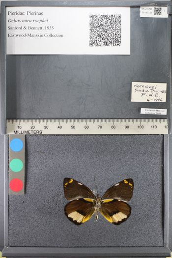 Media type: image;   Entomology 140134
